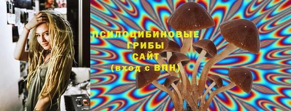 PSILOCYBIN Елабуга